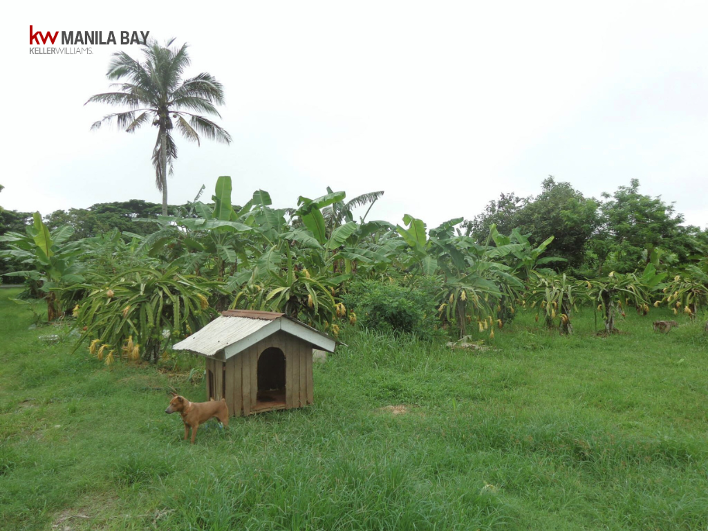 Farm Resort in Alfonso Cavite